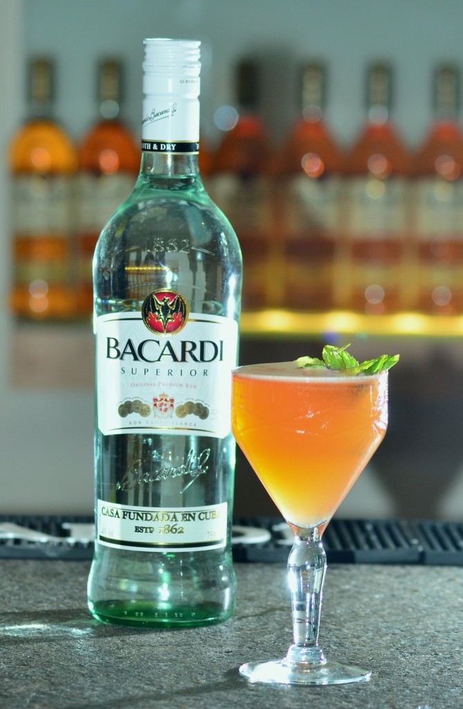 Gustavo Brizuela - Bacardí Legacy 2015 a